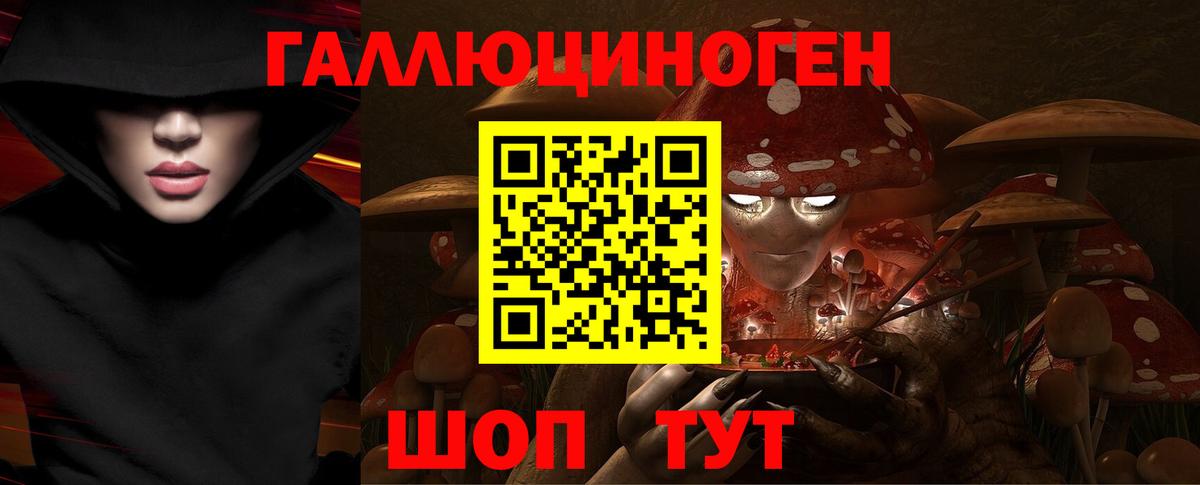Галлюциногенные грибы Psilocybine cubensis Можайск